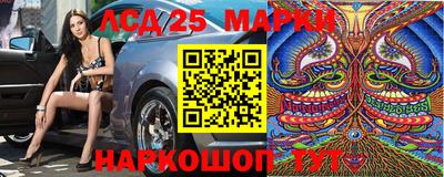 индика Рыбинск
