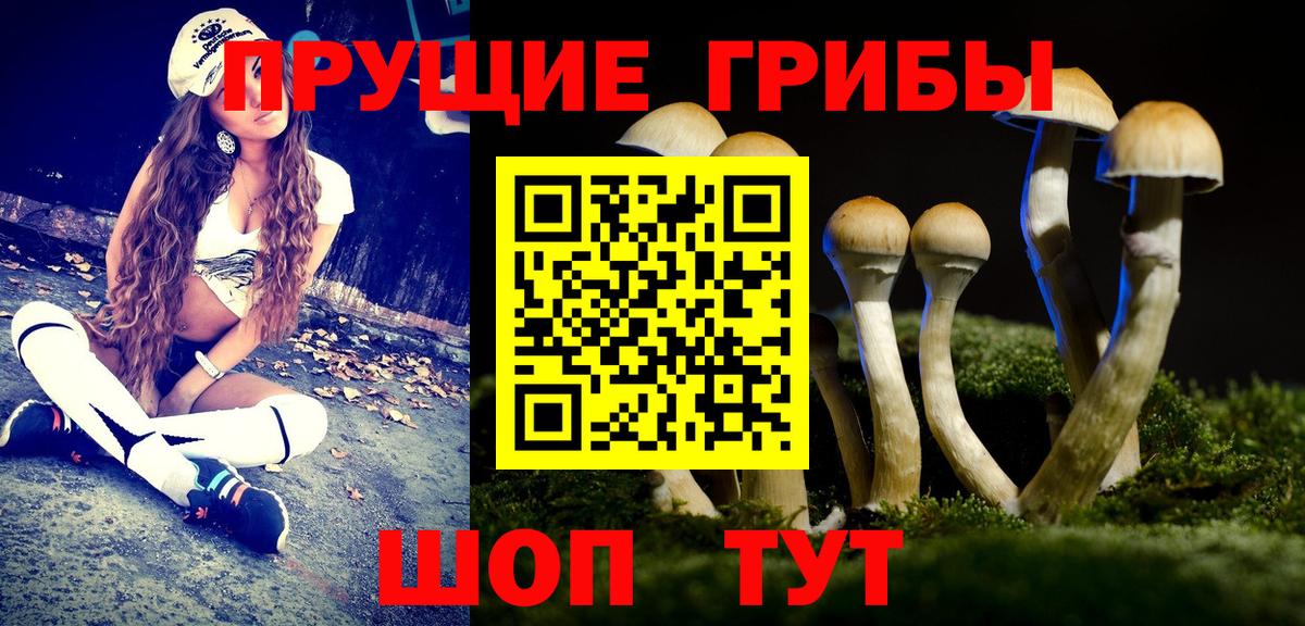 Галлюциногенные грибы MAGIC MUSHROOMS  Вход с VPN  Рубцовск 